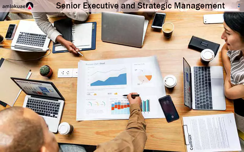 Senior Executive and Strategic Management