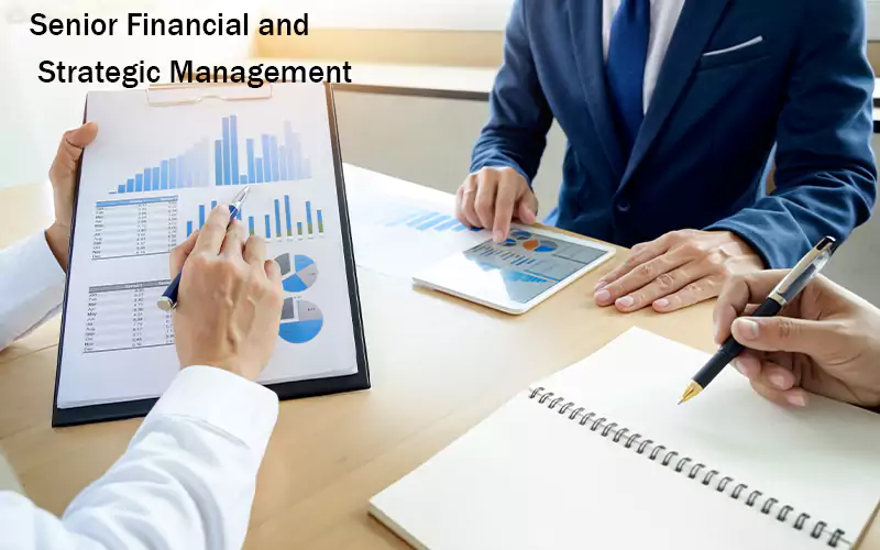 Senior Executive Management Job in the UAE