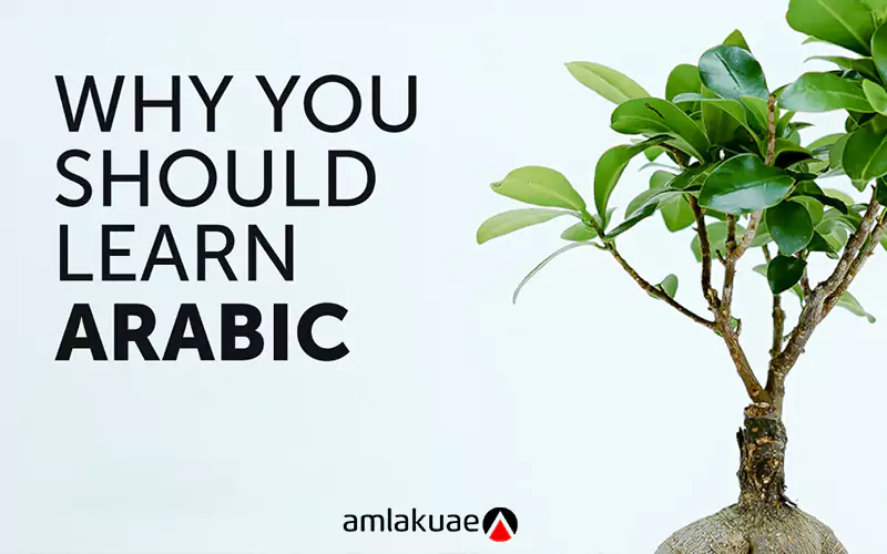 Do You Need to Learn Arabic?