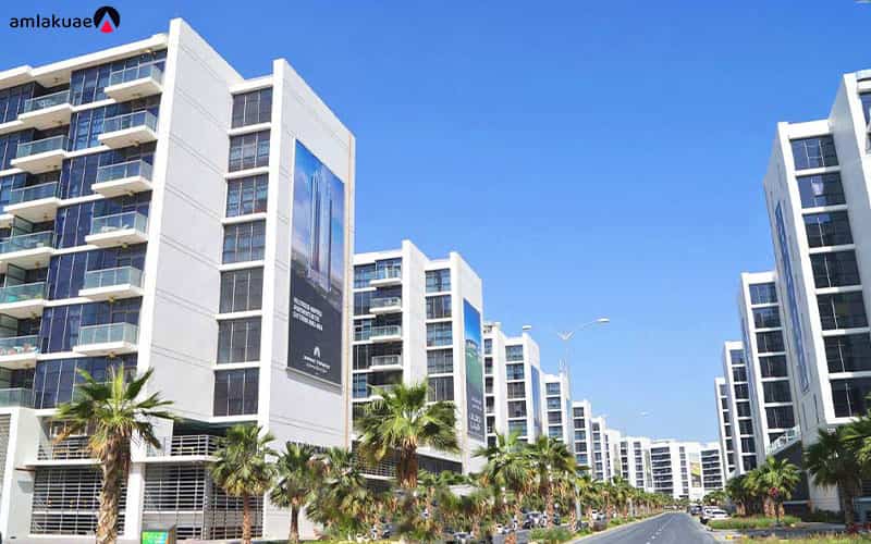 Cheap apartments in Dubai from the more economical and less expensive areas of Dubai