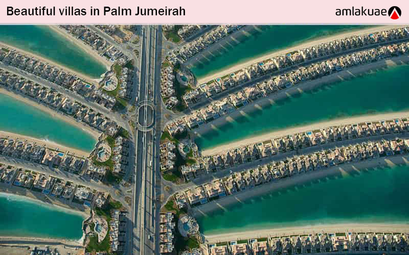 beautiful villas in palm jumeira from above