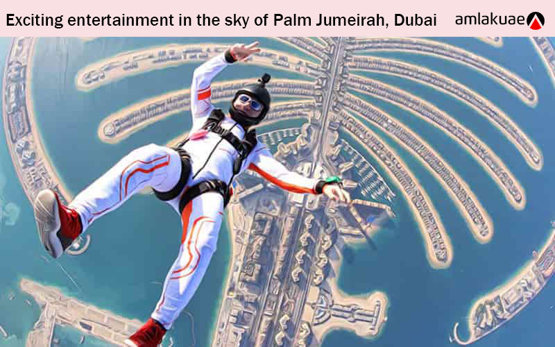 Interesting entertainment in Palm