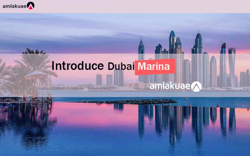 Introduce Dubai Marina Area for real estate investment