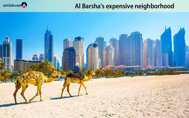 Al Barsha, an expensive area for living and entertainment in Dubai - Amlakuae Group