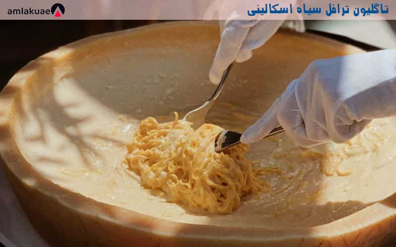 اسکالینی - از غذاهای گران قیمت در دبی